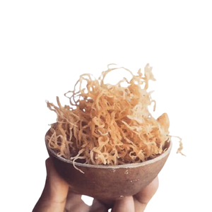 Musgo marino irlandés de artesanía salvaje/musgo marino seco musgo marino no transgénico y sin gluten de Vietnam - Product Image 4