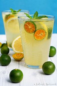 JUGO CALAMANSI CONGELADO DE VIETNAM PARA MARCAS DE BEBIDAS NATURALES BEBIDAS FUNCIONALES Y EXPORTACIÓN GLOBAL OEM - Product Image 5