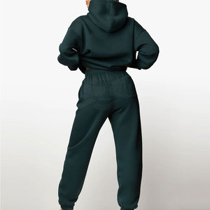 Conjunto Deportivo de 2 Piezas para Mujer, Invernal, Transpirable, con Patrón Sólido, Corte Regular, Sudadera con Capucha, Impresión de Logotipo Personalizado, Estilo Casual, Talla Personalizada - Product Image 2