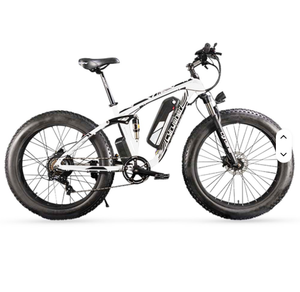 Vélo électrique Cyru-Sher XF800 de haute qualité - Suspension intégrale 750W - Pneus larges 20 pouces - Vélo de montagne électrique - Frein à disque - Vitesse unique - Product Image 3