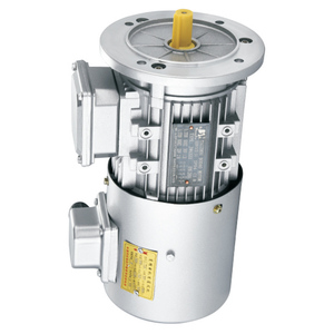 มอเตอร์แปลงความถี่แบบอะซิงโครนัสสามเฟส yvf ซีรีส์0.12-7.5kW - Product Image 1