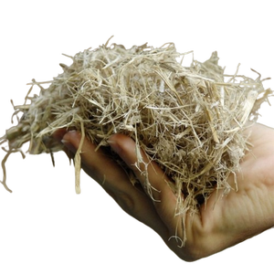 BAGAZO DE CAÑA DE AZÚCAR SECO PARA BIOPLÁSTICO Y FERTILIZANTE AL POR MAYOR EN TODO EL MUNDO CON PRECIO ASEQUIBLE/BUEN PRECIO EN 2024 - Product Image 1