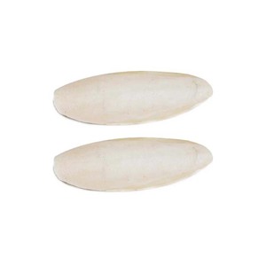 High-quality <b>Cuttlefish</b> Bones for Pet Bird Care at Affordable Rates - Product Image 1