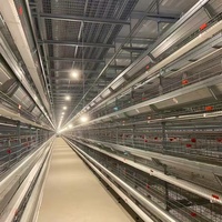Système de cages en batterie commercial pour poulets, équipement automatique avec système d'alimentation complet