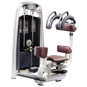 Máquina Multifuncional Remanufacturada para Ejercicios de Torso Rotatorio, Entrenamiento de Abdominales y Fortalecimiento del Core en Gimnasios - Product Image 1