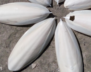 Os de seiche naturel pour oiseaux | Sélectionné à la main, durable, OEM/ODM accepté, livraison rapide - Product Image 5