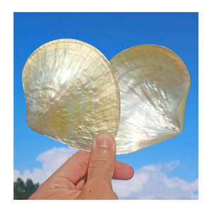 Tranches de coquille de nacre du Vietnam de nacre de qualité supérieure pour la décoration de meubles de bijoux artisanaux et la production d'incrustation - Product Image 2