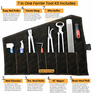 Kit d'outils de maréchal-ferrant personnalisé couteau à sabot poignée en bois extracteur d'ongles râpe pince à sertir les ongles des sabots médiator outils d'entretien de fer à cheval - Product Image 2