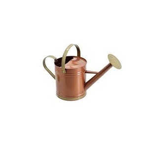 Calidad Premium Vintage galvanizado hierro agua puede hecho a mano diseñador clásico elegante Metal regadera al por mayor - Product Image 2