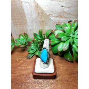 Anillo Ajustable Zachariah David Blue Bird de Turquesa y Plata de Ley con Engaste de Bisel Moderno, Piedras Preciosas Naturales, Regalo Perfecto - Product Image 1