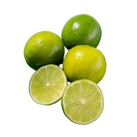 Vietnam Verse Citroenen Zonder Pit Groene Citrus Rijpe Export Hoge Kwaliteit 12 Maanden Houdbaarheid Maat 6cm 0,1kg Bulkbestelling Mogelijk