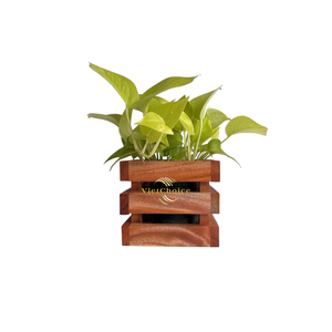 Pot de fleurs décoratif en bois naturel massif, écologique, pour intérieur moderne - Product Image 5