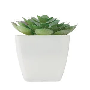 Plante Artificielle Personnalisée Artieche pour la Décoration Intérieure - Product Image 4