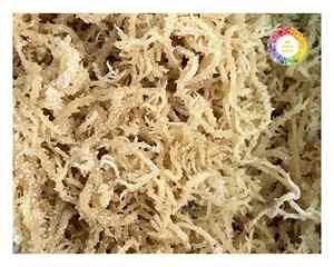 สาหร่ายคอตตอนชนิด Eucheuma เวียดนามสาหร่ายธรรมชาติคุณภาพสูงสำหรับใช้ในอุตสาหกรรมและใช้งานเกรดอาหาร - Product Image 3