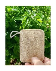 Luffa vegetal natural de alta calidad de Vietnam-Mejor precio Luffa 100% Natural barato con estándar de exportación - Product Image 1