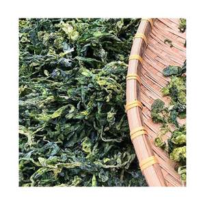 VENTA CALIENTE 2024 NUEVO STOCK VERDE ALGAS EN POLVO-CALIDAD PREMIUM ALGAS PARA ALIMENTACIÓN ANIMAL ALGAS EN POLVO DE VIETNAM + 84 392328745 - Product Image 5