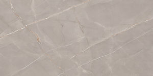 Nouveau modèle de carreaux de sol en porcelaine de stationnement en forte demande, fabrication en Inde pour les murs et les sols. - Product Image 2