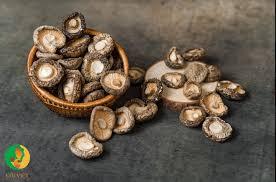 Seta Shiitake orgánica de gran tamaño Shiitake de alta calidad al mejor precio hecho en Vietnam - Product Image 6