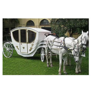 Carruaje de Paseo Tipo Caja, Diseño Tradicional Simple, Madera y Metal, Ligero, Nuevo Diseño - Product Image 1