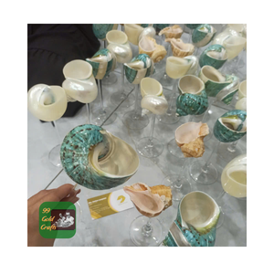 OCEAN STYLE HANDMADE SEASHELL DRINKING <b>GLASS</b> <b>GOBLET</b> WITH HIGH QUALITY FOR DECOR TABLE MADE IN VIETNAM - Product Image 3