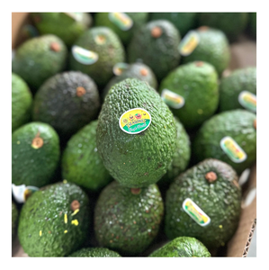 Aguacate Hass Orgánico de la Mejor Calidad, Variedad Fresca Cultivada, a Precios Accesibles - Product Image 5