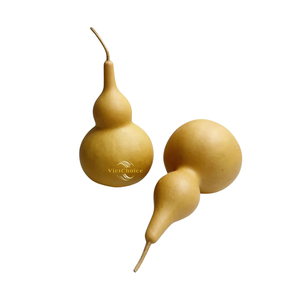 Calabazas Secas VietChoice, Artesanías Naturales y Ecológicas para Decoración del Hogar - Product Image 1