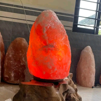 Lampe de Sel de l'Himalaya Extra Large (30-300 kg) en Matériau Organique, Qualité Supérieure, Sculptée, Purificateur d'Air, Lampe de Table, Veilleuse, Amour