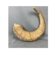 Corne de mouton et de chèvre polie de haute qualité, écologique, couleur naturelle, taille personnalisée, motif ange, durable, objet d'art pour poteau de laisse de chien, objet de collection