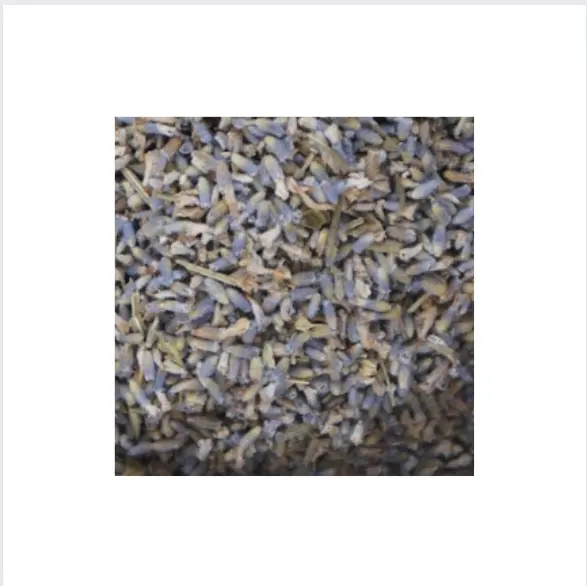 LAVENDER FLAVOR TEA - SPECIAL ELEGENT AND SWEET FRAGRANCE TIMELESS SCENT BEST USE FOR RELAXATION