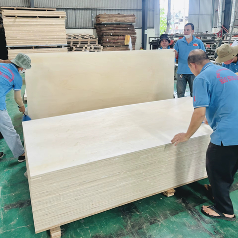 13-Ply 18mm Poplar Plywood 4x8 1220x2440mm Rubber Core Melamine Laminate Waterproof E0 Formaldehyde for Home Office Decoration