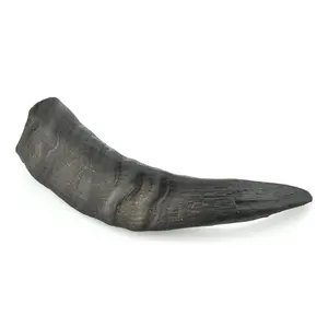 New Design Decorative Black Goat trimmed Horn For Dog chew best for pet food Indian Supplier