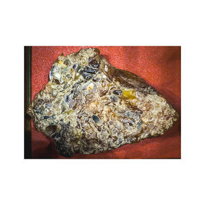 Extrait d'ambre gris blanc de haute qualité, non soluble dans l'eau, sous forme de capsule, OEM/ODM, approvisionnement en vrac, application cosmétique - Product Image 1