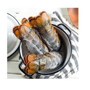 Langostas Frescas Silvestres Congeladas de Nueva Zelanda, Mariscos de Primera Calidad, Exportación a Granel, Alta Calidad - Product Image 4