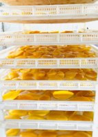 Gedroogde mango Gedroogd fruit Gedroogd voedsel Gedroogde mango exporteur Vietnam_ WA84786436556 OEM verpakking Klaar voor export