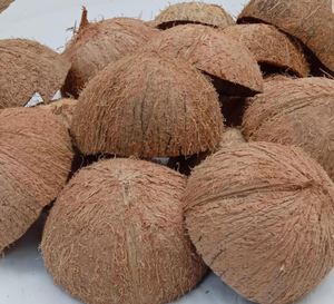 Cáscaras de coco de origen vietnamita disponibles a granel para fines industriales y creativos - Product Image 3