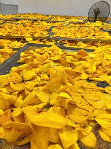 Rodajas de Mango Deshidratado Premium - Dulces, Ácidas y Suaves con una Deliciosa Textura Masticable - Product Image 2