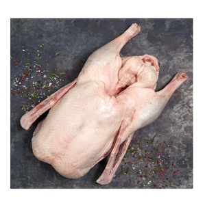 Carcasse d'oie congelée de haute qualité, provenant d'élevages, approvisionnement en vrac, idéale pour la vente en gros, l'exportation, la restauration et l'industrie alimentaire - Product Image 4