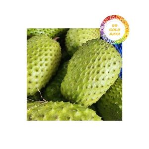 Deliciosa pasta de Guanábana congelada producida en Vietnam adecuada para cadenas de batidos y fabricantes de postres al mejor precio - Product Image 1