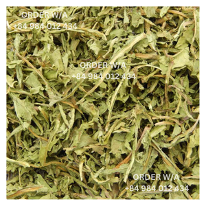 Hojas de diente de león a base de hierbas de calidad más vendida de Vietnam Fruta seca a granel conservada natural para la salud - Product Image 1