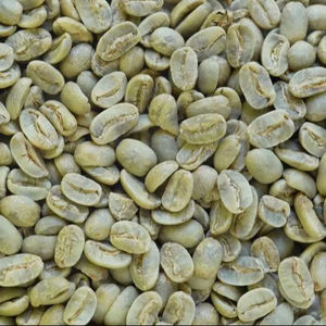 Granos de Café Verde Arábica de Primera Calidad, Tamaño 16, de Vietnam, Marca TNFOOD, Grado G1/G2, 1000 kg, Exportación a Granel Directa de Fábrica - Product Image 1