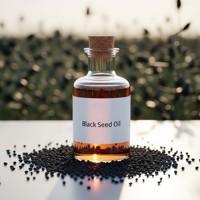 Huile de graines de samin noir, bio, haute qualité, nutritif, prix de gros