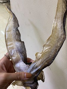 ผลิตภัณฑ์ยอดนิยม หนังปลาแห้ง หนังปลาปังกาเซียส สำหรับเป็นของว่าง - Product Image 5