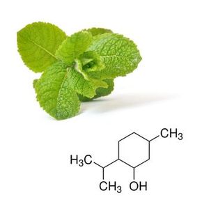 ดีแอล เมนทอล |   เมนทอลสังเคราะห์ ความบริสุทธิ์ 99% |   สารทำความเย็นสำหรับการใช้งานทางเภสัชกรรม เครื่องสำอาง และอุตสาหกรรม |   เมนทอล DL จากอินเดีย - Product Image 2