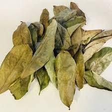 FEUILLE DE SOURSOP SÉCHÉE DU VIETNAM FEUILLE DE GRAVIOLA PRODUIT DE HAUTE QUALITÉ au VIET NAM Avec sac de 100g - Product Image 5