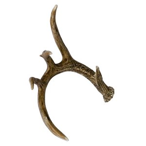 Direct Factory Durablement Naturel Daim Antler Chien Mâcher et Pour La Santé Dentaire - Product Image 5