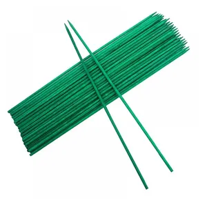 Wholesale Bulk Suppliers Garden Stakes Branch Customized Size Available Garden Stakes For Garden Decor Uses