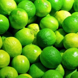 TRANCHES DE LIME CONGELÉE POUR LES MARQUES DE BOISSONS HORECA BOISSONS PRÊTES À COCKTAIL ET LES ACHETEURS MONDIAUX D'ALIMENTS BIOLOGIQUES - Product Image 3