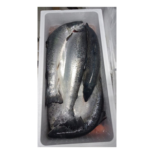 Saumon Fish Farm Filet de saumon de l'Atlantique élevé Fruits de mer Poisson de saumon congelé - Product Image 3