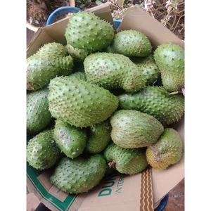 แหล่งผลิตแช่แข็งในเวียดนามรับประกันความสดใหม่และราคาที่แข่งขันได้สำหรับการส่งออก - Product Image 2