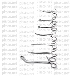 Nouveau Design Instruments dentaires vétérinaires ensemble de poignées courtes d'ascenseur matériau japonais en acier inoxydable - Product Image 2